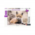 Puzzle Petit renard 500 pièces Nathan - Bleu Griotte